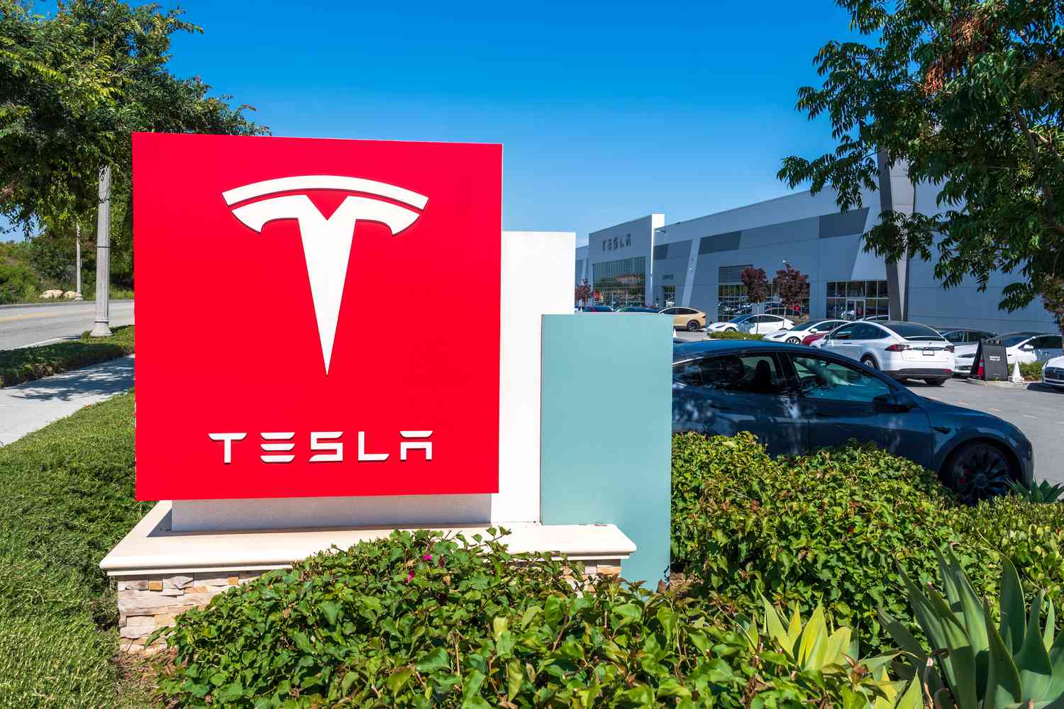 Tesla Top Shareholders in 2025: Elon Musk's $906 Billion Empire and Major Investors