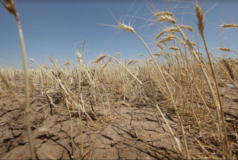 US Stock Market Declines in 2023: Retail Sales Drop and Job Cuts Shake Investors