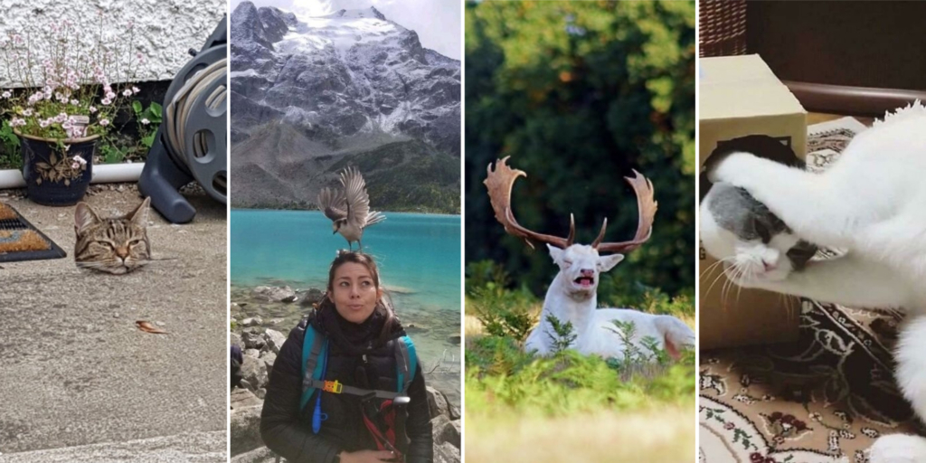 Captured Moments: 15 Perfectly Timed Photos That Will Amaze You