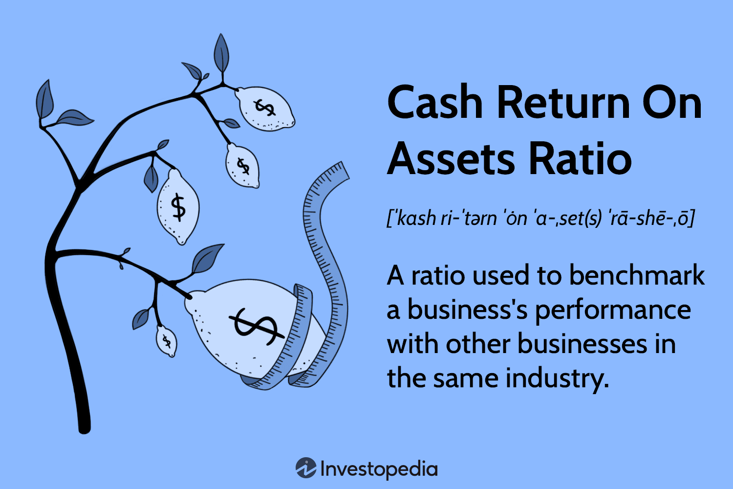 2025 Cash Return on Assets Ratio Explained: Key Insights and Pricing Impact