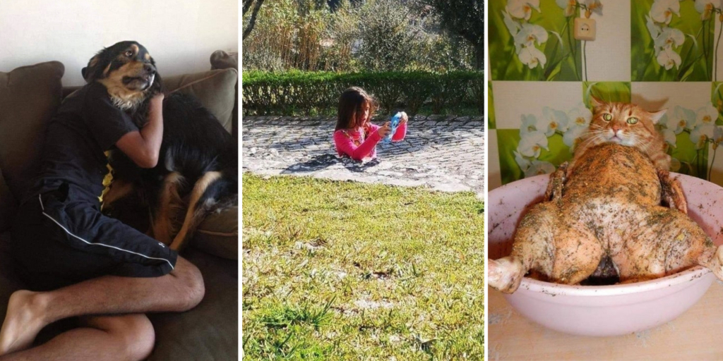 15 Foto Mengejutkan yang Akan Memainkan Mata Anda dengan Ilusi Menarik