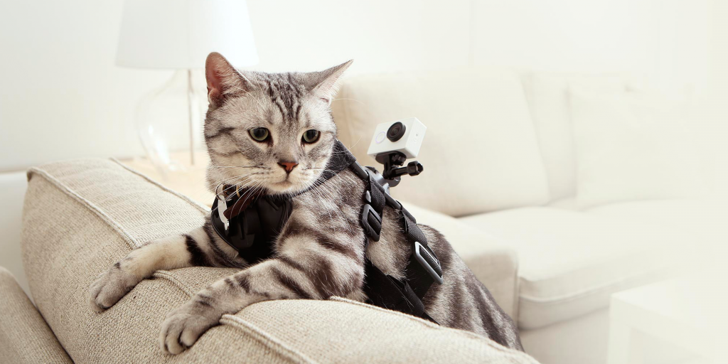 Лучшие экшн-камеры: эффективная альтернатива GoPro для активных приключений