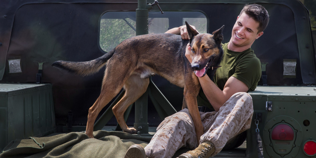 Верные сердца: история из жизни израильских военных кинологов и их собак