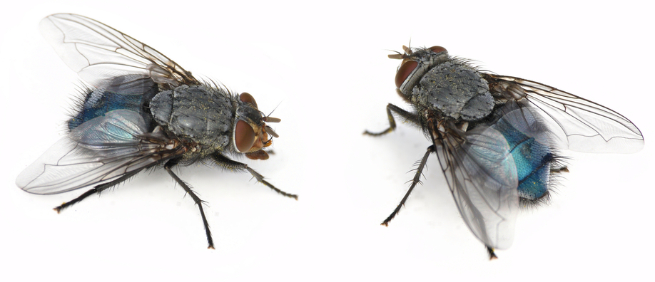 Rahasia Efektif Mengelola Waktu dengan Mengelompokkan Tugas