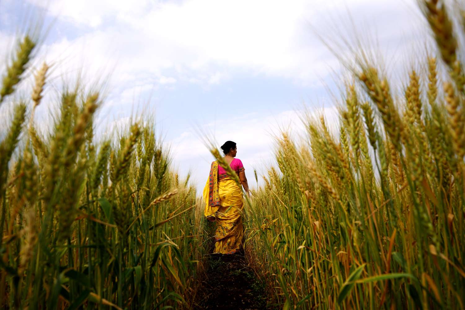 Menjelajahi Negara-Negara dengan Produksi Pangan Terbesar di Dunia