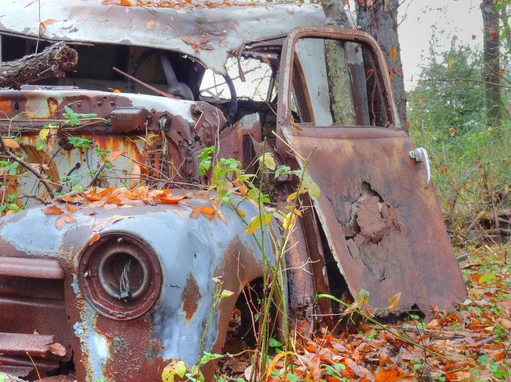 Discover and Manage Your Forgotten Online Accounts Using Email Search