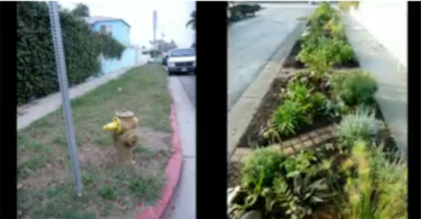 Рон Финли: Как садоводство меняет города и жизни