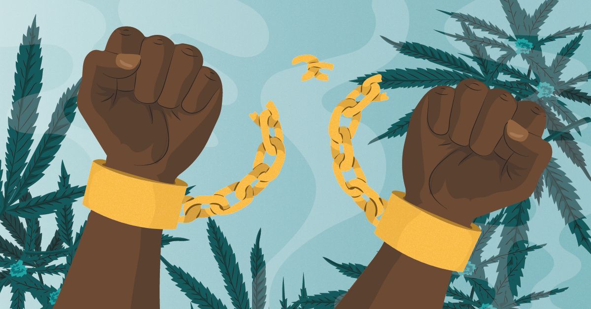 2025 Social Equity in Cannabis: A Comprehensive Beginner's Guide with Industry Insights