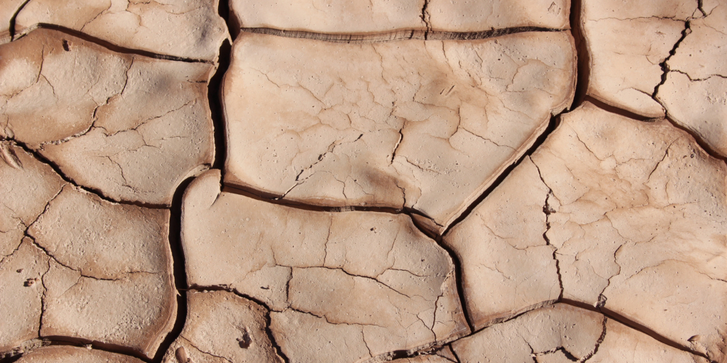 Innovative Scientific Approach Aims to Combat Global Drought Crisis