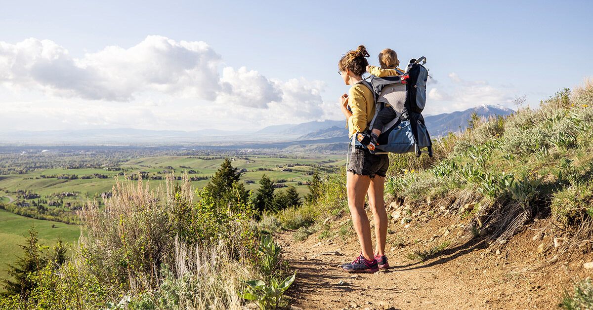 Опасные клещи: как отличить и защититься от укусов