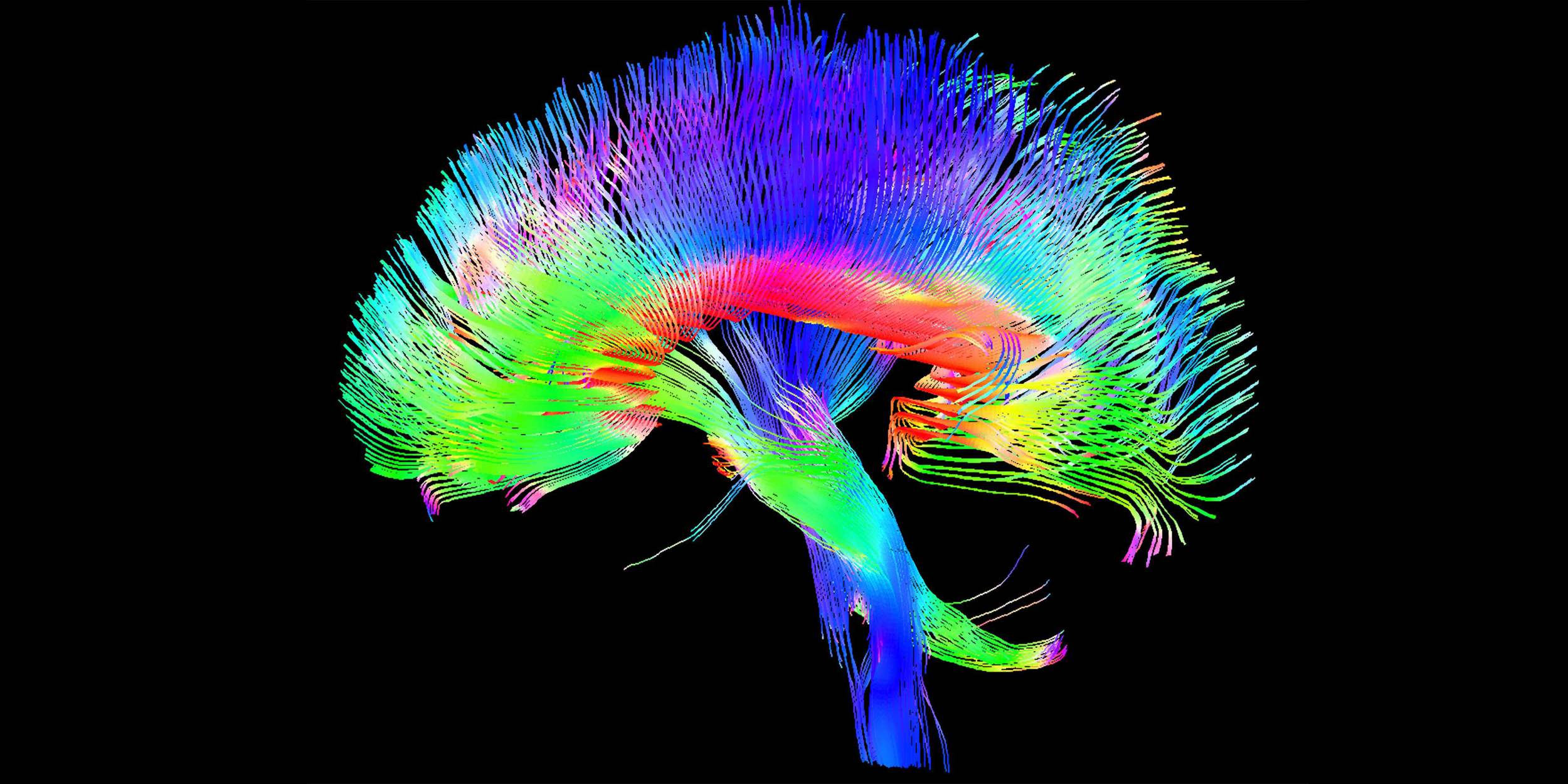 Как нейронаука меняет наше понимание интеллекта и будущего общества