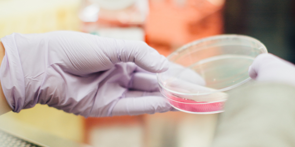 Revolutionary Living Robots That Self-Replicate Using AI-Optimized Designs