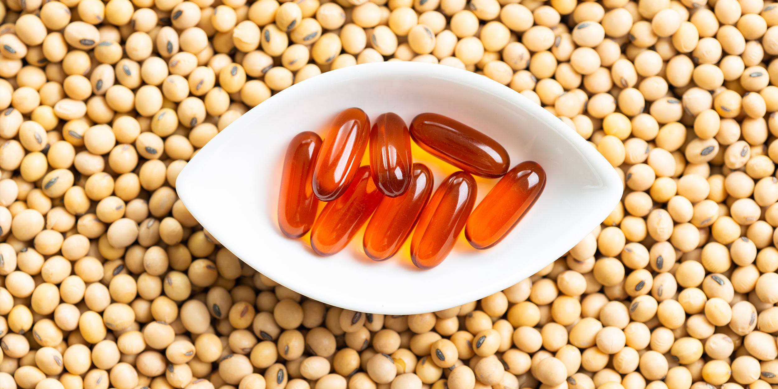 Лецитин: мифы и реальность о его пользе для здоровья