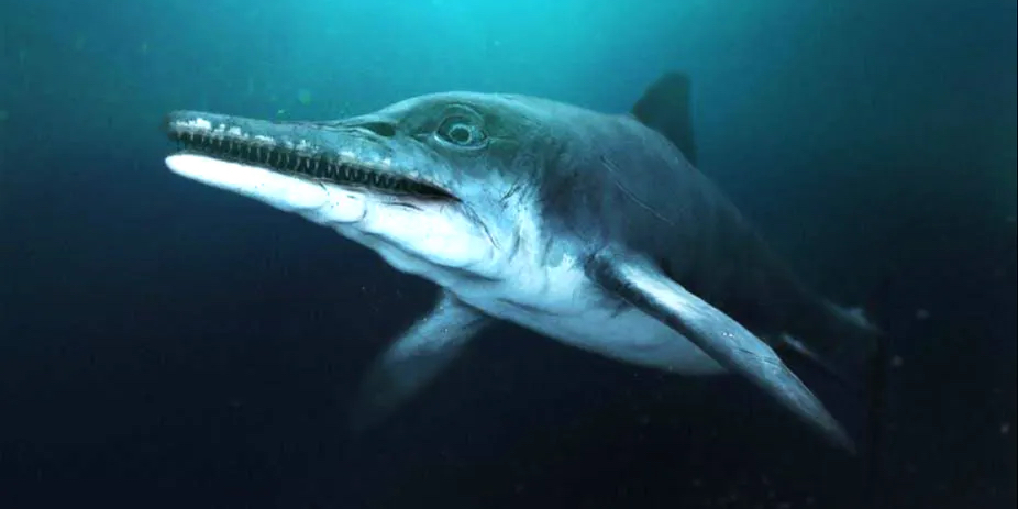 Открытие гигантского морского хищника из Триасового периода