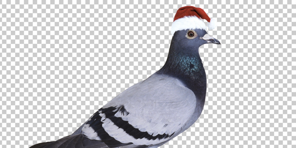 Effortlessly Remove Photo Backgrounds with AI-Powered Remove.bg