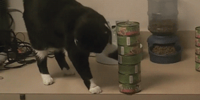 Бардак на офисной кухне Бардак на офисной кухне