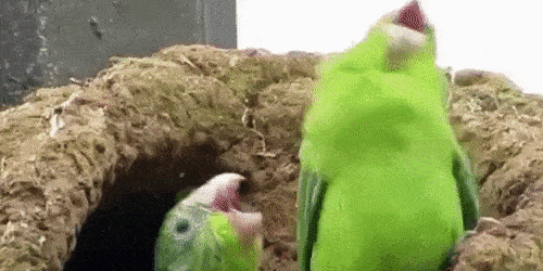 Шум в офисе и как с ним справиться Шум в офисе и как с ним справиться