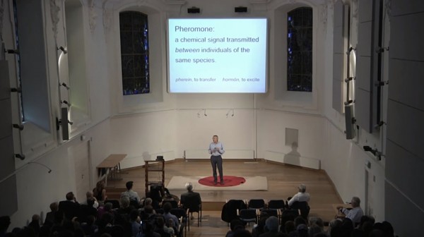 Unlocking the Mystery of Pheromones: How They Influence Attraction and Human Connection