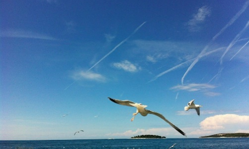 Как ценить каждый момент: осознанная жизнь в современном мире