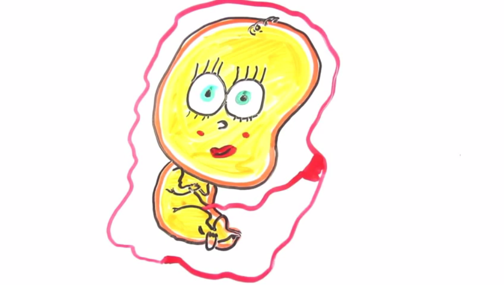 Удивительные тайны развития человеческого пола: от женского к мужскому