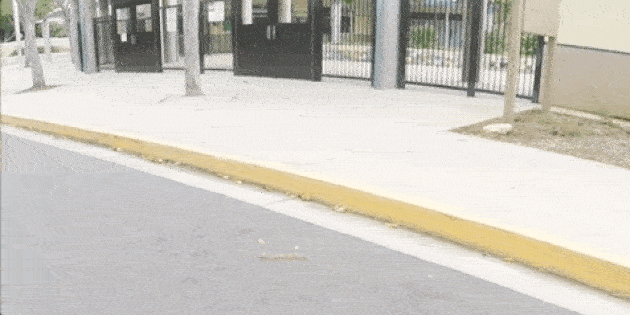 Wiral LITE: инновационная канатная дорога для съемки впечатляющих панорам