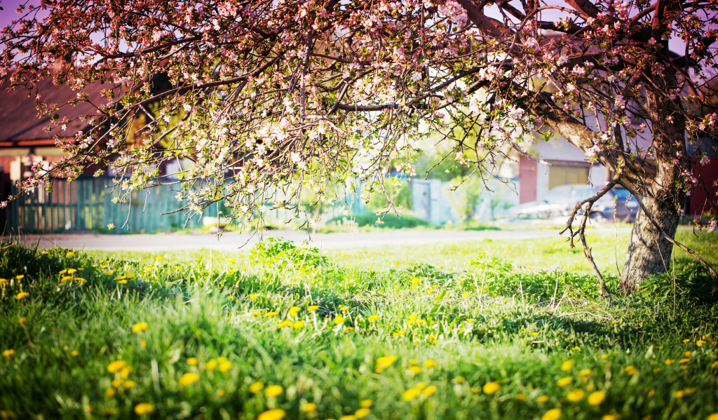 Как вернуть мир в свою жизнь: вдохновение и спокойствие в новом году
