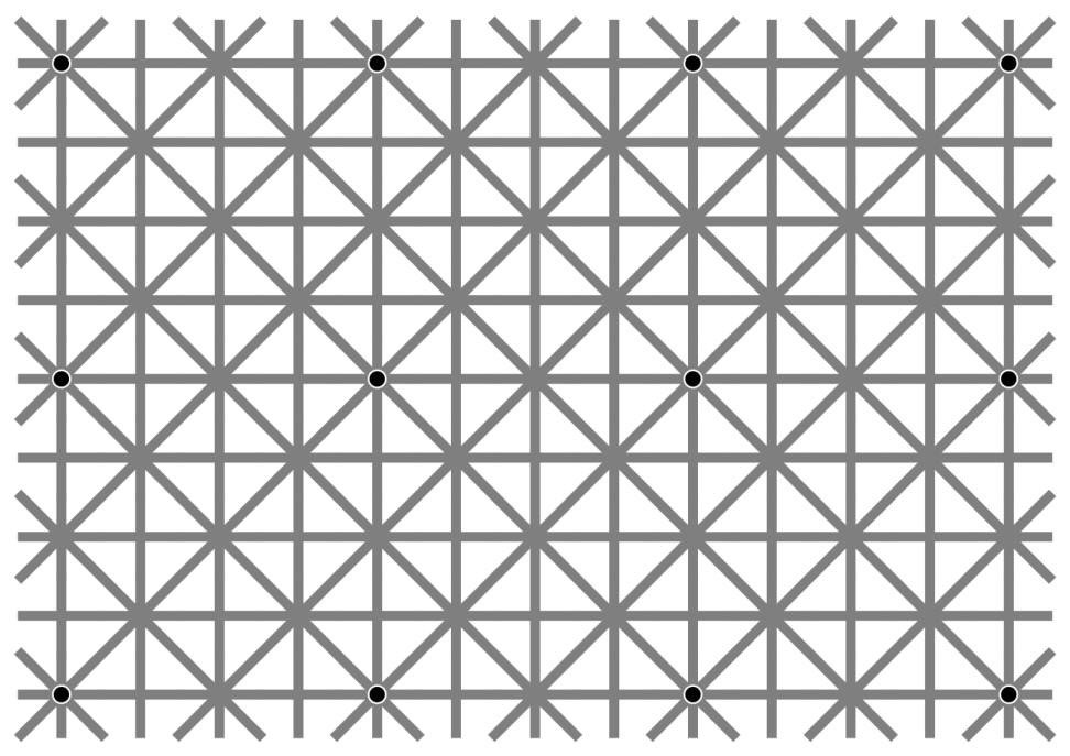 Tantangan Ilusi Optik: Berapa Banyak Titik Hitam yang Kamu Lihat?