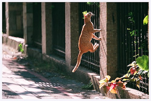 Разбудите силу воли: как тренировка памяти помогает изменить жизнь