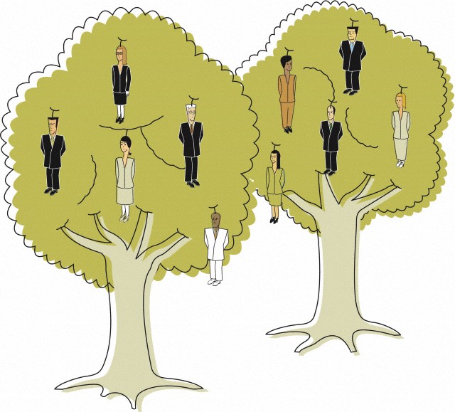 Создайте уникальное дерево вашей карьеры с LinkedIn