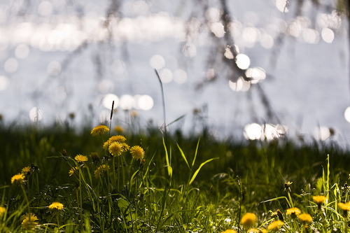 Kichik O'zgarishlar – Buyuk Natijalar: Hayotingizni Yaxshilashga Oson Yo'llar