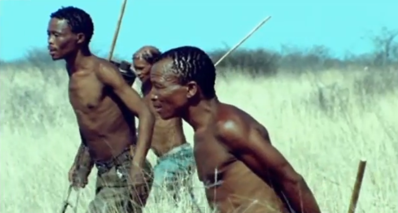 Уникальная охота африканских племен: искусство преследования антилоп куду