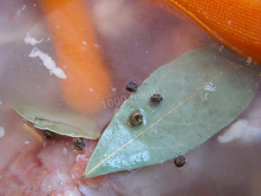 Уход за бульоном