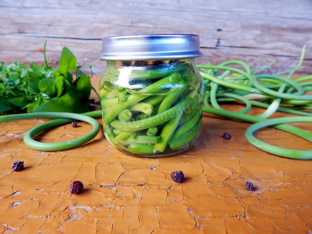 Discover the Bold Flavor of Pickled Garlic Greens: A Simple and Spicy Winter Delight