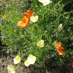 Татьяна Иванова