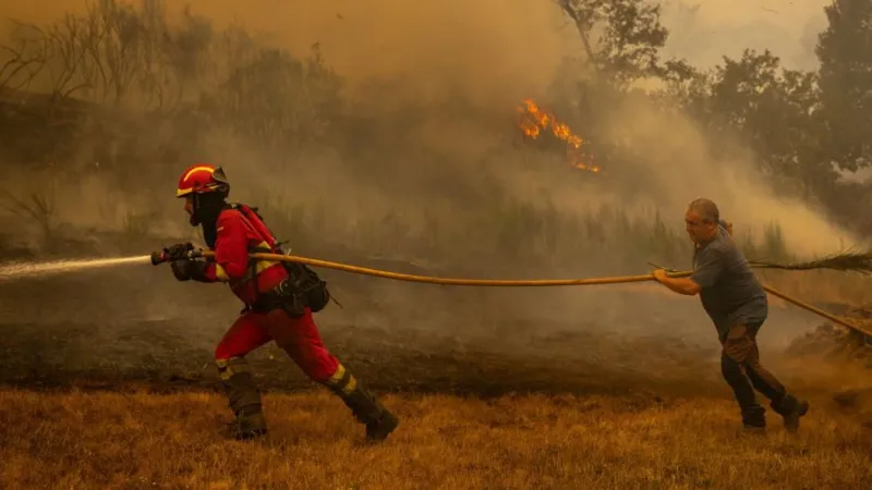 EPA/Shutterstock A firefighter and a civilian holding a large yellow hose run across a dried out yellow patch of grass with smoke and fires in the woodland behind