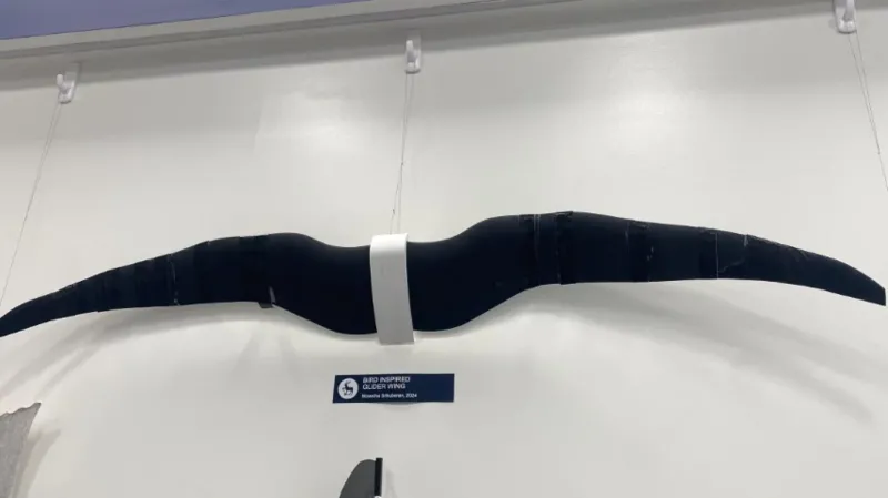 University of Surrey Develops Bird-Inspired Drones