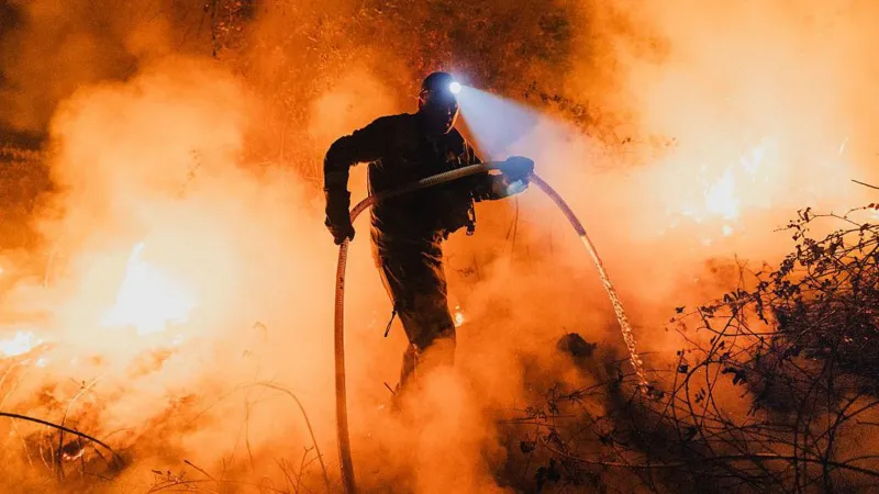 Kebakaran Hutan di Spanyol dan Portugal: Dua Tewas Saat Militer Spanyol Memadamkan Api