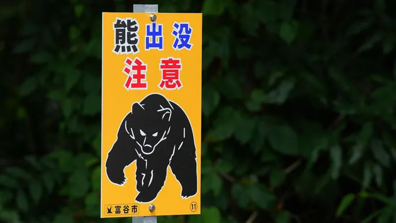 Jepang: Korban yang Diduga Diserang Beruang Ternyata Dibunuh oleh Anaknya, Kata Polisi