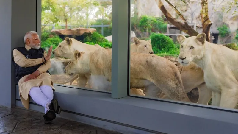 Vantara: Hindiston Oliy sudi yirik xususiy hayvon kollektsiyasini tergovga tortish uchun tergovchilar tayinladi