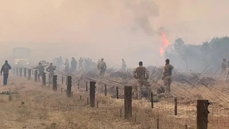 Britaniya Lolldaiga yong‘ini jabrlangan kenyaliklarga tovon to‘lashga rozi bo‘ldi