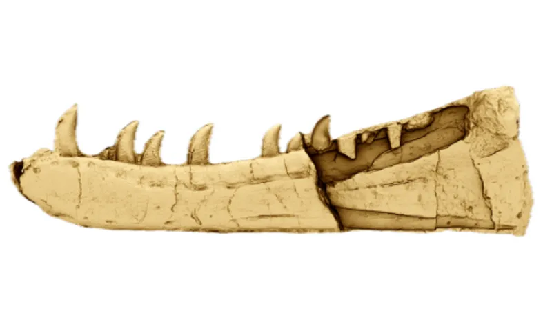 New dinosaur species unearthed after 125 years