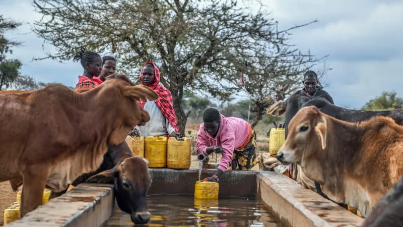 Girls collect water from a tap for cattle at a drinking trough in Bisil, Kenya, 29 August 2025