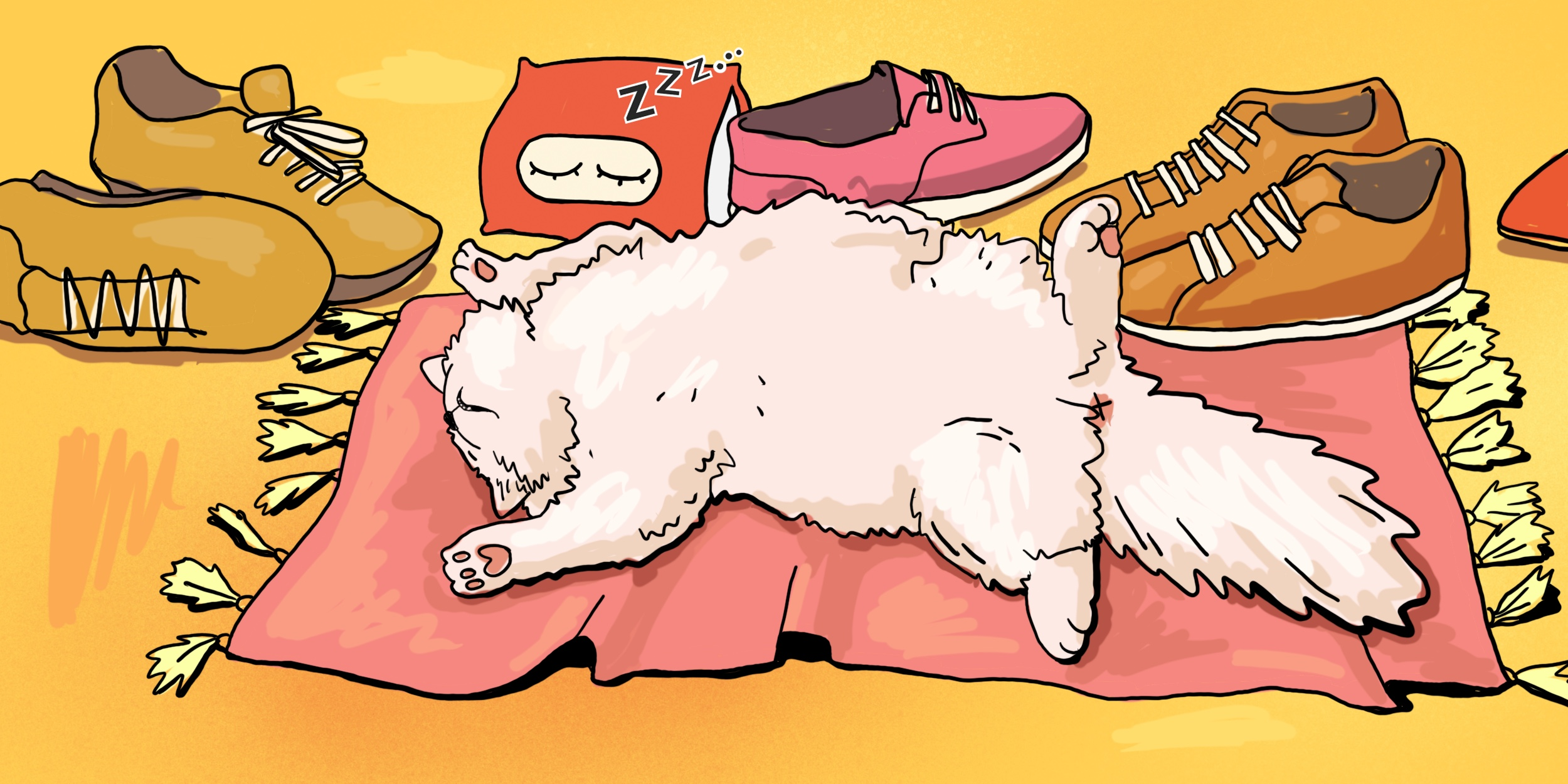 Is Sleeping on the Floor Good for Your Back? What the Evidence Says