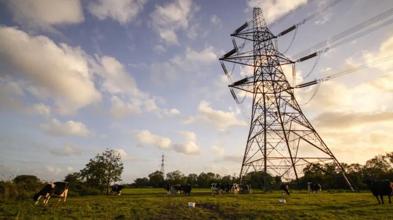 Getty Images A wide green field with grazing cows beneath towering electricity pylons. The pylons rise against a partly cloudy sky, with sunlight filtering through the metal framework. Additional pylons and trees are visible in the distance.