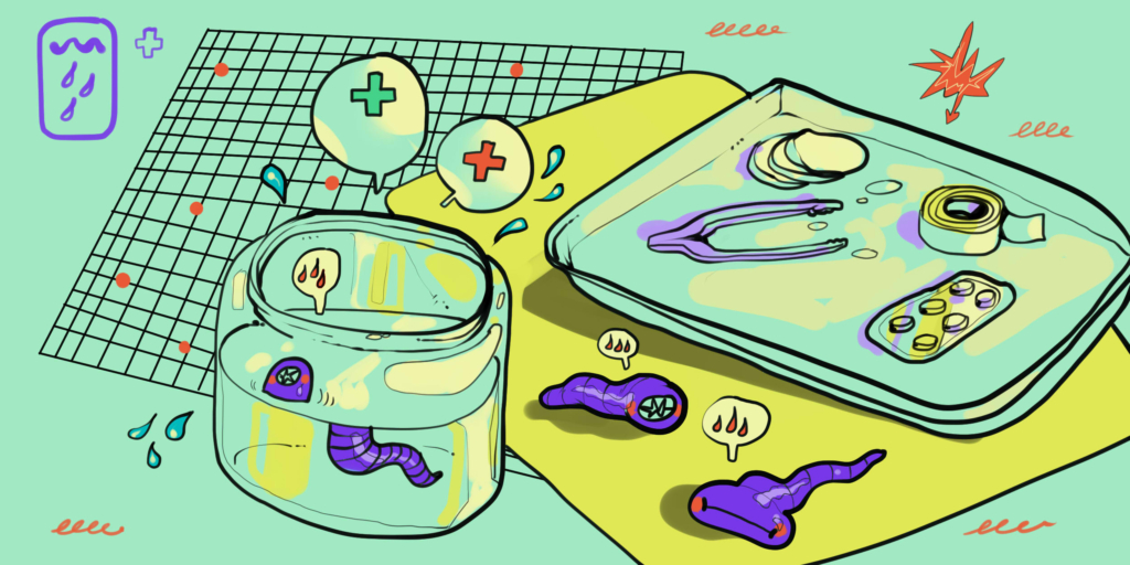 Leech Therapy Explained: Does Hirudotherapy Really Help?