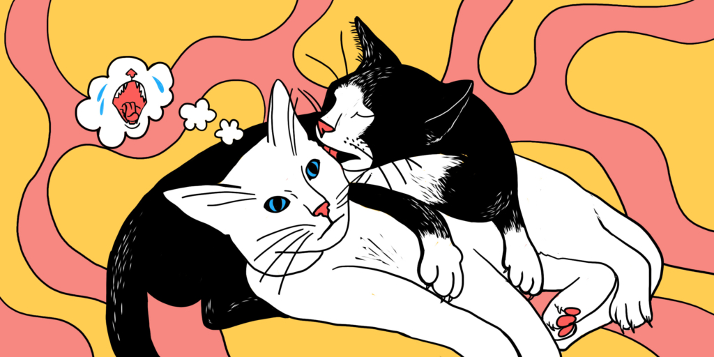 Understanding Relationship Needs: Why You Can't Satisfy All at Once