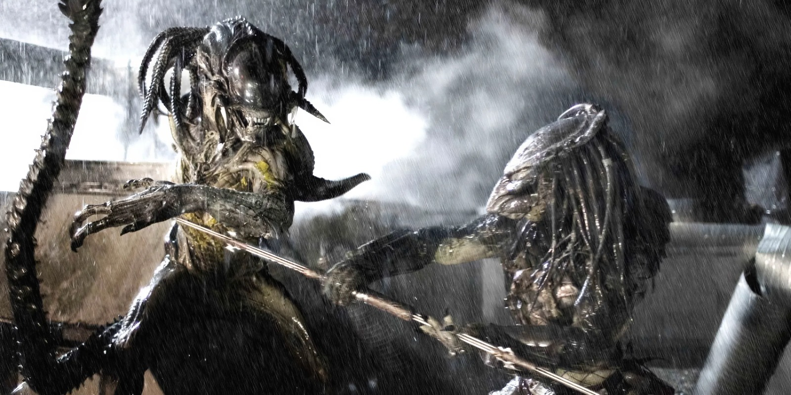 Дэн Трахтенберг: «Чужой против Хищника 3» без спешки