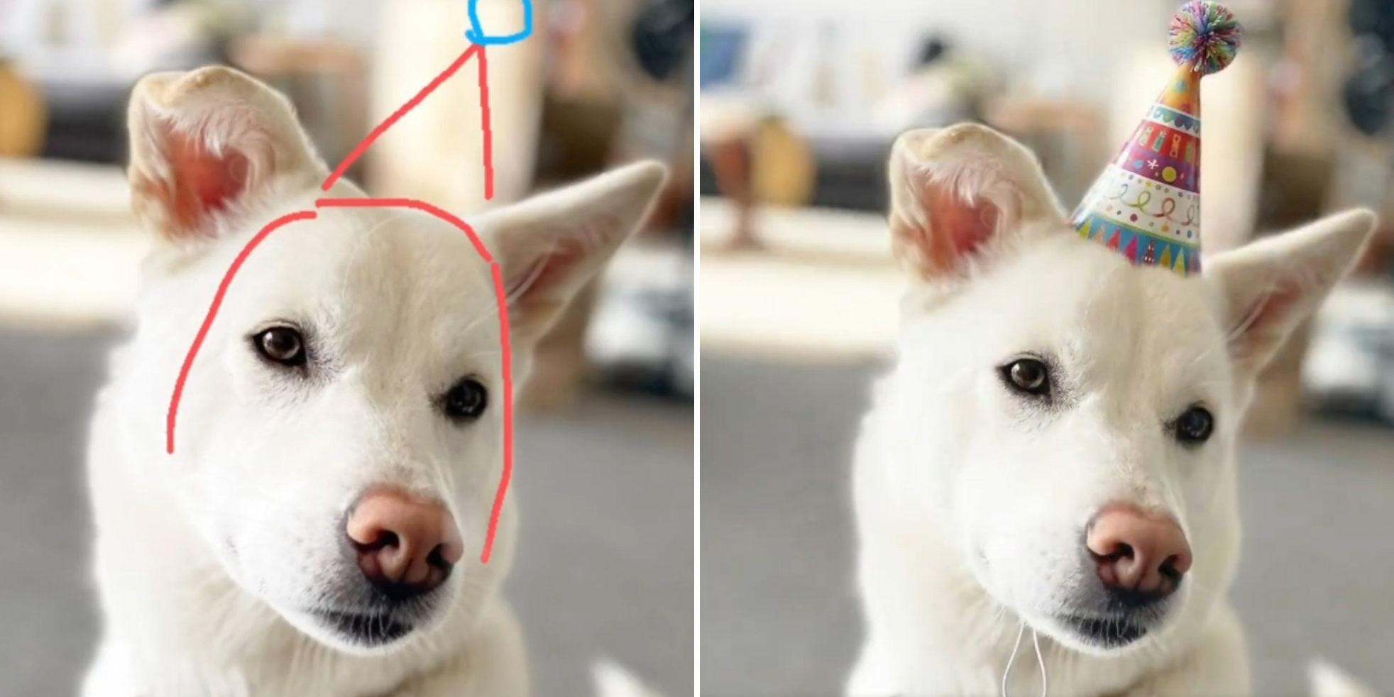 Nano Banana в Gemini: дорисовка по подсказкам и водяные знаки SynthID для видео